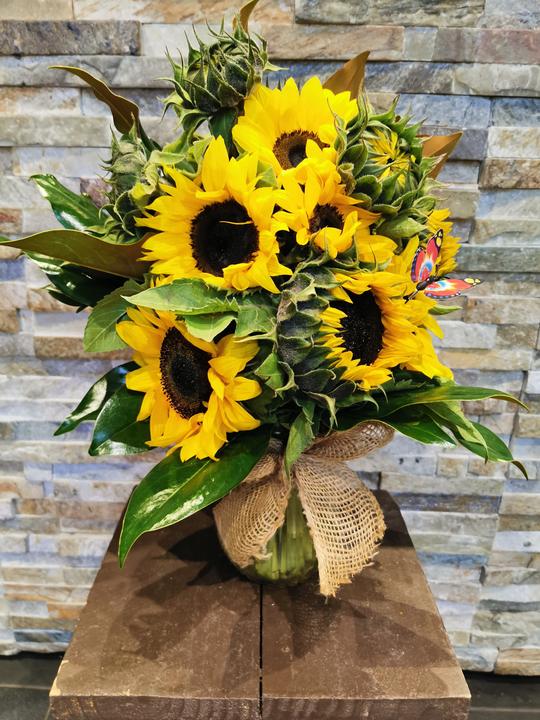 Sunflower in the vase